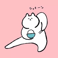 边界试探者